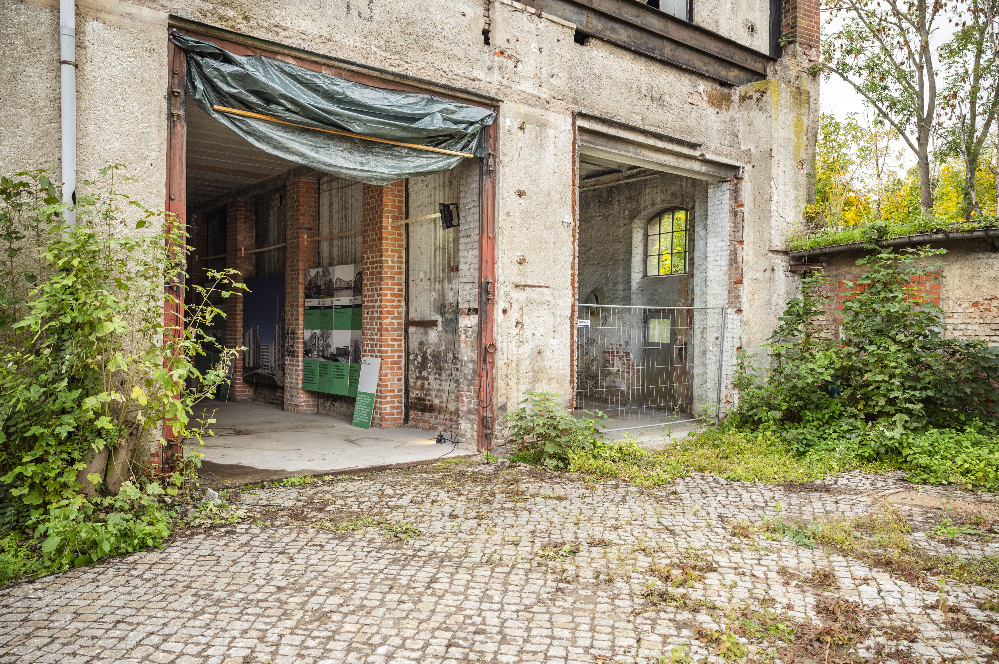 Bildbeschreibungstext